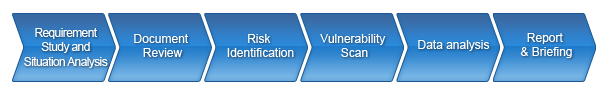 security_assessment